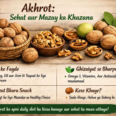 ChatGPT Image Dec 22, 2025, 09_48_04 AM